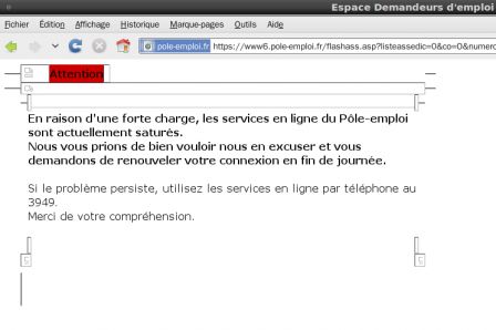 Capture d'écran Pôle emploi